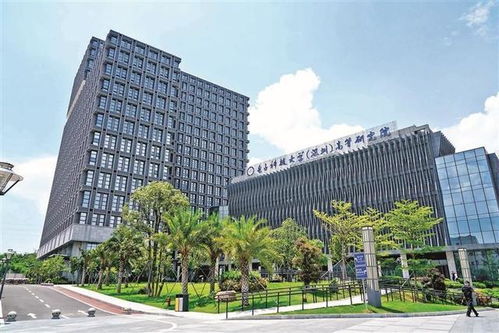 龙华力量闪耀深圳科技主赛道 从政府工作报告看区域创新跃迁